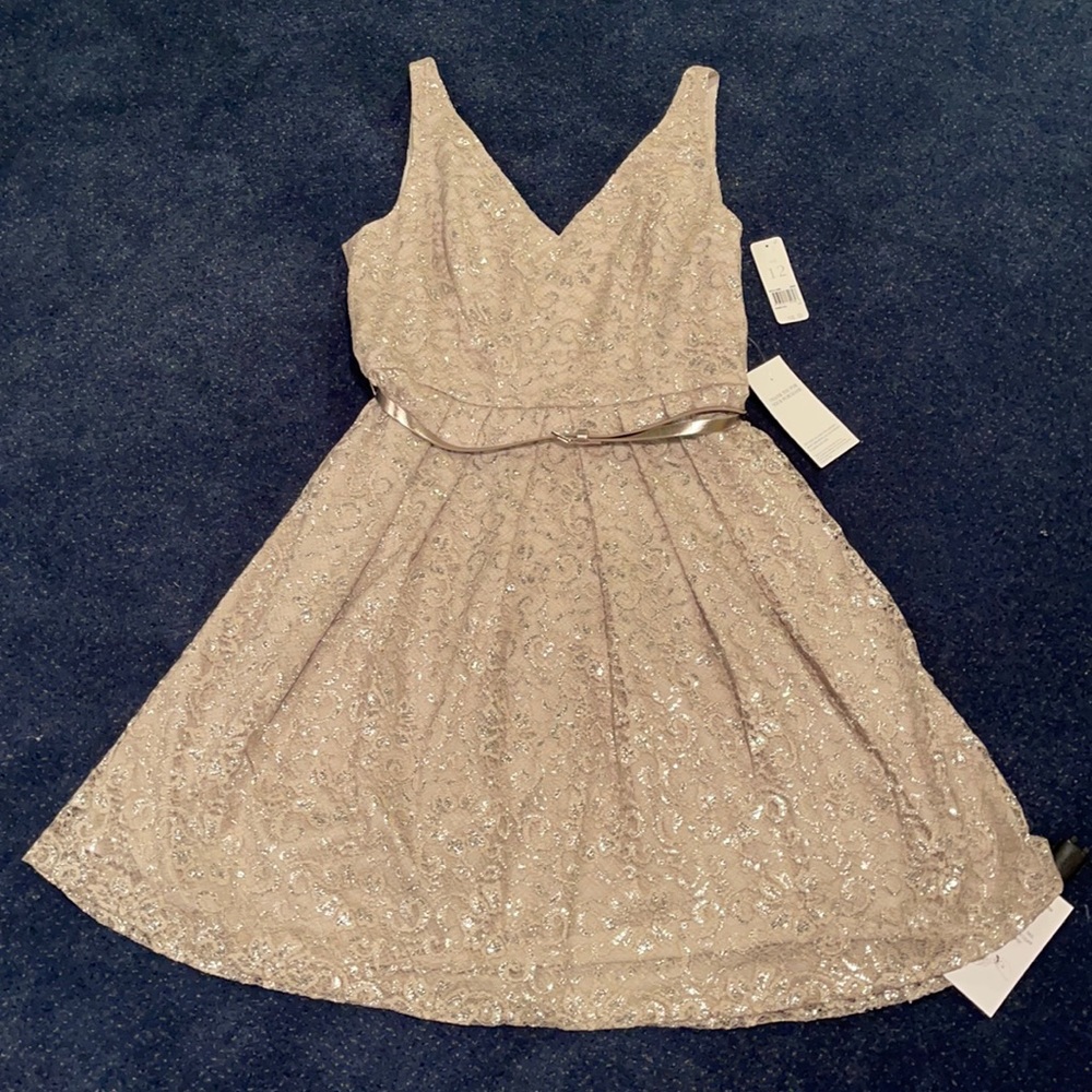 Donna Morgan silver and tan belted dress